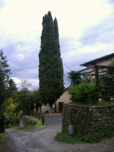 barbiana-069